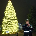 Trumpet and tree