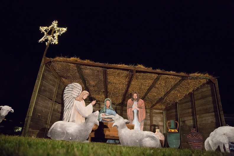 Nativity-5.jpg