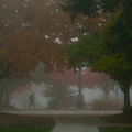 [11.2.21]-Fog-Photos-58